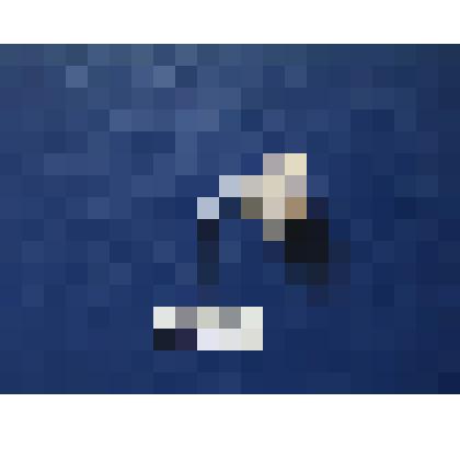 Петличный знак военно-оркестровой службы ВС РФ