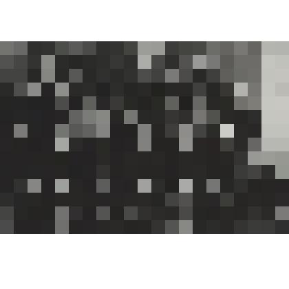 Фото "Коллектив управления администрации совхоза "Пижемский""