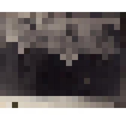 Фотография. Кассиль Л.А., Смирнова С., Поляновский М.Л