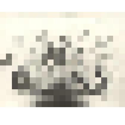 Фотография. Фотография черно- белая