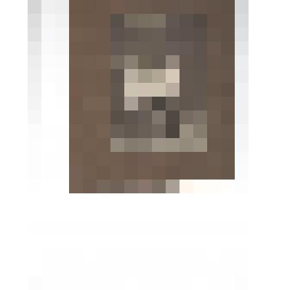 Фотография.Александр и Вера. Дети Веры Александровны и Федора Федоровича Пира (внуки А.А. Киселева)