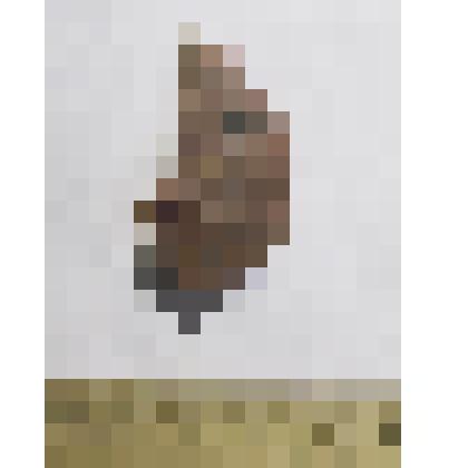 Обломок наконечника стрелы