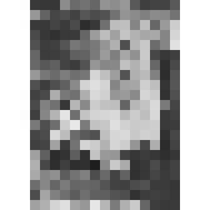 Фермерский дворец. Уборная императрицы. Южная стена