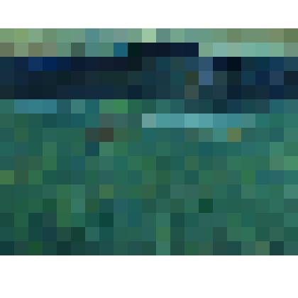 картина  «На рассвете»