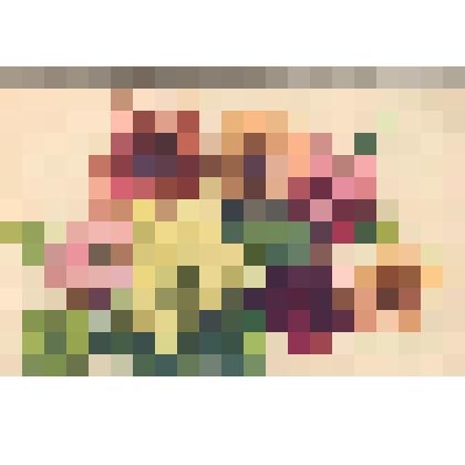 Цветы. Георгины. Открытка