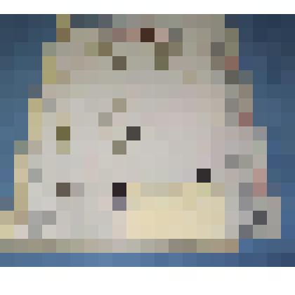 Ботаническая коллекция. Хвощ зимующий, семейство хвощовые, на гербарном листе, Красноярский край, окрестности села Ермаковское. Cем.  Eguisetaceae  P. Eguisetum  B. Hiemale Z