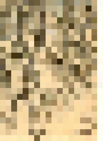 Даниловское кладбище