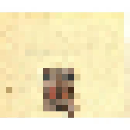 Марка. Гербовая марка - 5 копеек