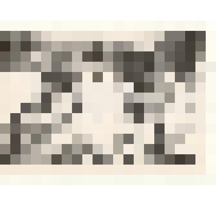 Фотография: День птиц на станции юных натуралистов в г.Камень-на-Оби