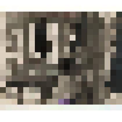 Фотография черно-белая групповая. Парикмахерская в Ливадии