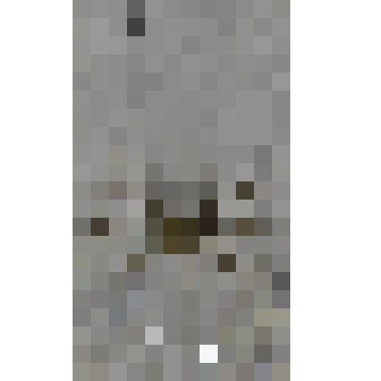 Приз "Всероссийская выставка-продажа плембыков Росплемобъединения 1978 г. Пермский конный завод № 9 "(Конзавод № 9)