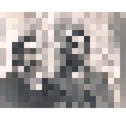 Фотография бытовая. Супруги Шамовы