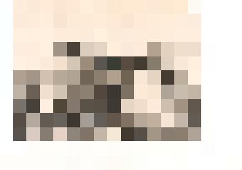 Фотография ч/б. Встреча космонавта В. Г. Лазарева в конном заводе № 39. Тюменцевский район. 1975 г