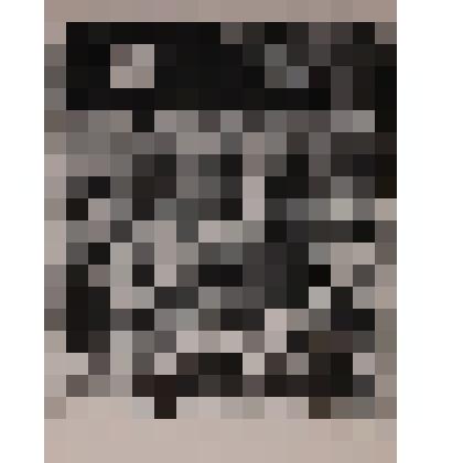 Из книг А.В. Улитина