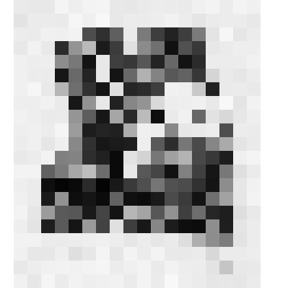 Лермонтовиана Г. И. Кизеля