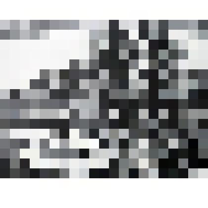 линогравюра. На мосту