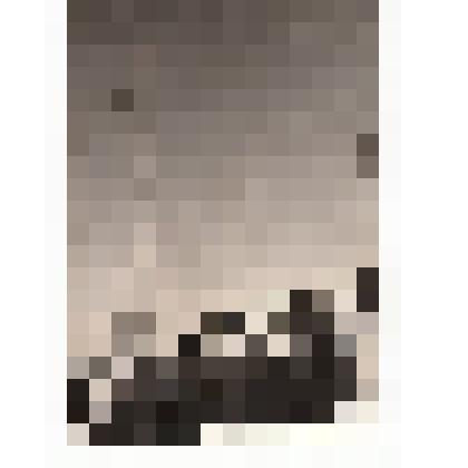 Фото/чб. Первый обелиск на месте приземления Ю.Гагарина. Энгельсский р-н. 12.04.1962 г