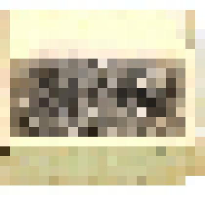 Фотография сюжетная