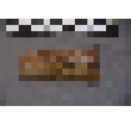 коллекция В.Ф. Лагодича. Талисман каменный лежачий, выполнен в виде головы человека. Подпрямоугольной формы. Коричневого цвета