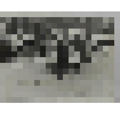 Фотография. Торжественный митинг посвященный 35 летию Победы в Великой Отечественной войне