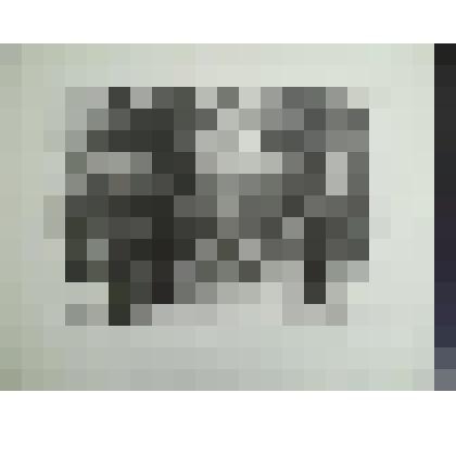 Летний сад зимой