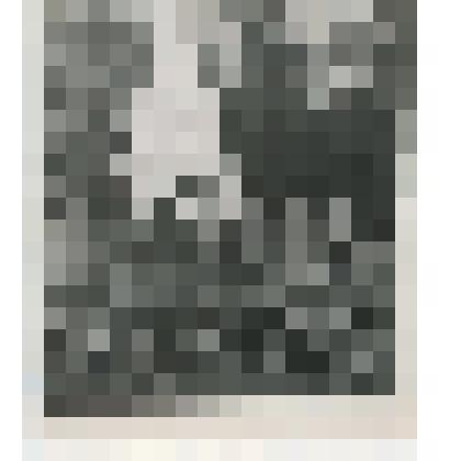 Фотография ч/б. Ветераны 8 гвардейской стрелковой дивизии у памятника на 40 км Ленинградского шоссе