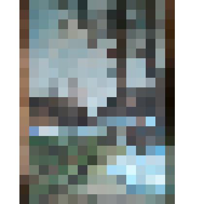 Картина В. А. Белоконского