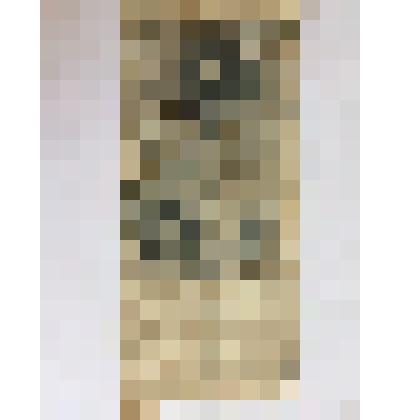 Пятьсот рублейё