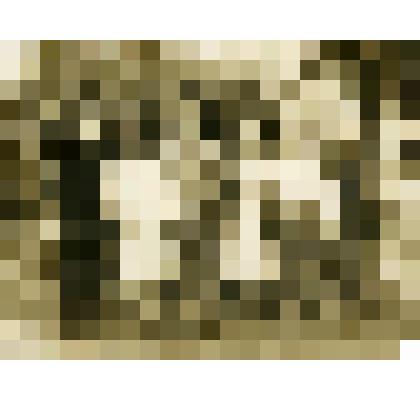 Фотография. Молодежь с. Дьяковского на государевом дворе около Казанской церкви