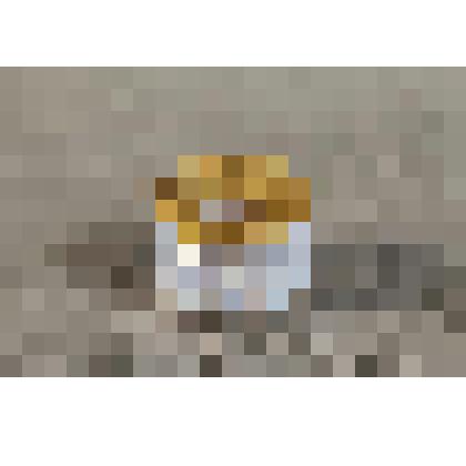 Чернильница от письменного прибора