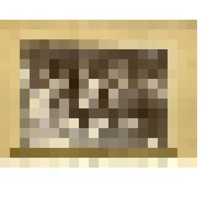 Фотография. Горбатовский уезд, с. Богородское. Кожевенное производство