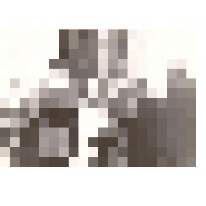 Фотография: открытие железнодорожной линии Карасук-Камень. Чабан Чапаевского отделения совхоза "Октябрь" Бирюков встречает с хлебом-солью начальника строительства Недбая