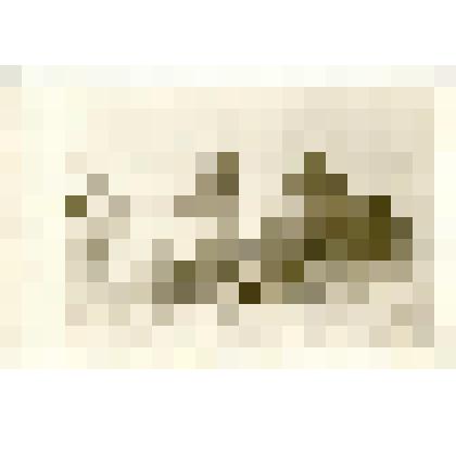 Фотография. Встреча с этнографической экспедицией- братья Травиных