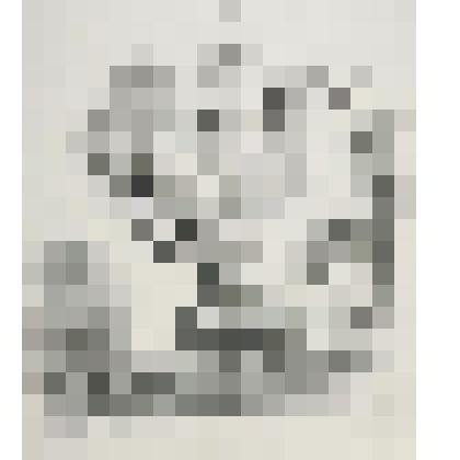 Осенний букет