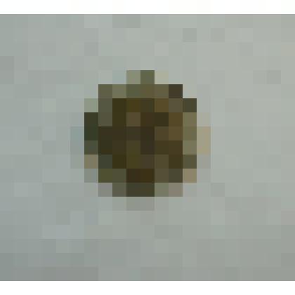 Монета "50 рублей"