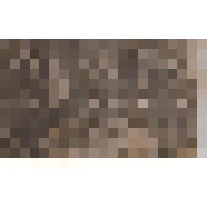 Фотография. Комсомольцы - делегаты конференции от Пятовской волости. Во втором ряду сидят- секретарь партийной организации Волисполкома товарищ Авдеев, секретарь комсомольского  комитета Ольга Акиньхова