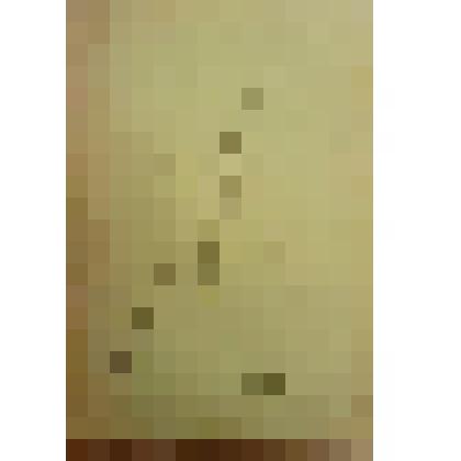 Книга. Пругавин А.С. Предполагаемое заточение графа Л. Н. Толстого в Суздальский монастырь [Text]. - М. : Издательство "Посредник" (№ 699), 1908 (Типолитография Русского Т-ва печатного и издательского дела)