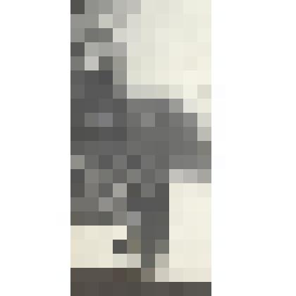 Л.Н. Толстой на прогулке в парке