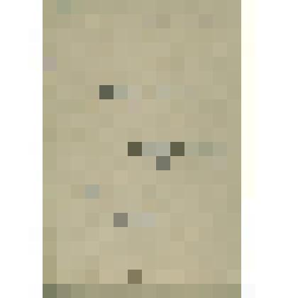 Документы  периода  становления  Сольвычегодского  музея