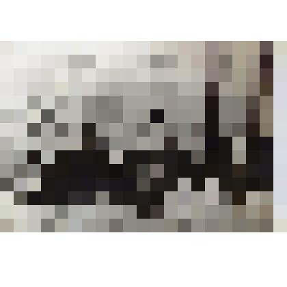 Фотография групповая. Комсомольцы 30-х г