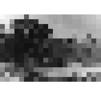 Фотография. Деревня Долгая Пронского уезда