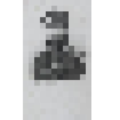 Портрет Т.Кернера