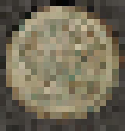 Монета. 10 копеек. Россия страна