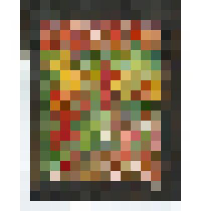 Служу Советскому Союзу