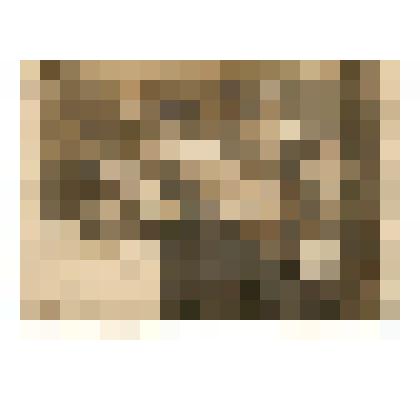 Фото. Работники ЭГ №4650, сидят в белых халатах