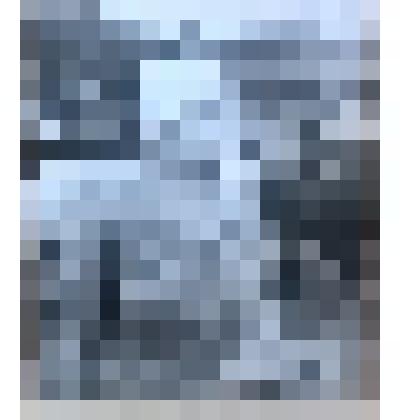 Фотография. Широбокова Тамара Васильевна - передовая доярка колхоза "Россия"