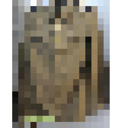 Военная форма старшего сержанта