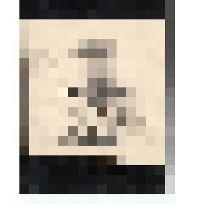 Ф/чб. Ананьев Михаил Петрович, майор, командир 8 батареи 326-го арт. полка 148-й стрелковой дивизии, адъютант. Чехословакия. 25.5.1945