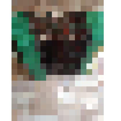 Гармонь Чайка