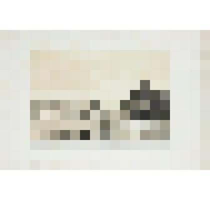 Литография. "Берега Волги. Деревня между Новгородом и Тверью."